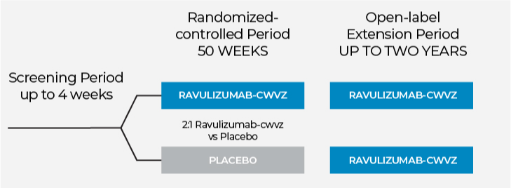 Ravulizumab-cwvz clinical trial expectations